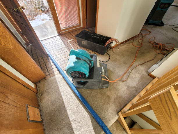 Best 24-hour water damage restoration  in Greenville, NY
