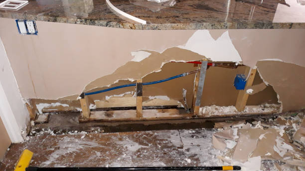 Best Ceiling water damage repair  in Greenville, NY