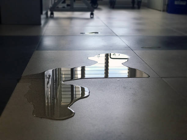 Best 24-hour water damage restoration  in Greenville, NY