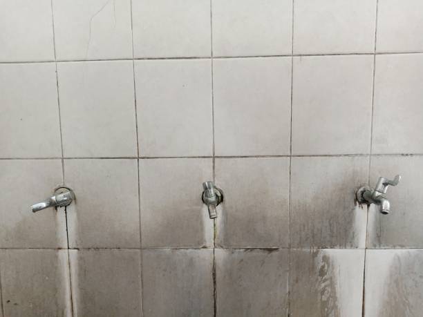 Best Residential water damage restoration  in Greenville, NY