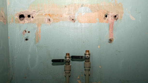 Best Flooded house restoration  in Greenville, NY
