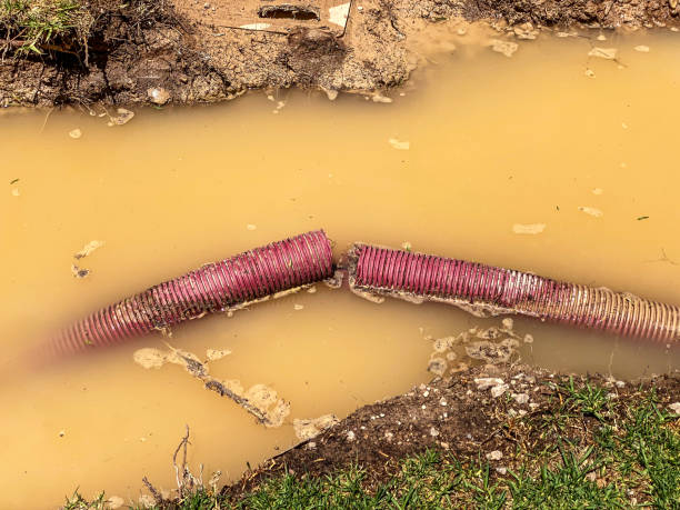Best Local water damage restoration  in Greenville, NY