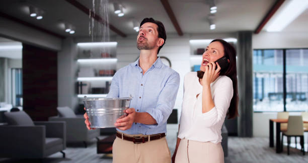 Best Residential water damage restoration  in Greenville, NY